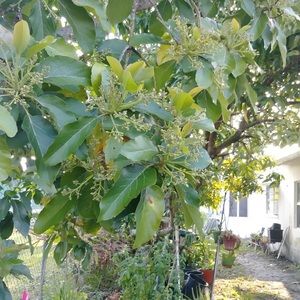 Meet your Posher, Joan